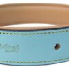 Soft Touch Collars - Leather Padded Dog Collar, Size Large, Turquoise and Beige