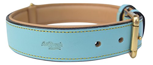 Soft Touch Collars - Leather Padded Dog Collar, Size Large, Turquoise