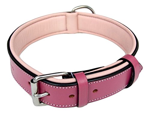 fancy dog collars for female dogs