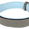 Soft Touch Collars - Padded Leather Dog Collar, Large Gray and Blue - Handmade With Genuine Real Leather
