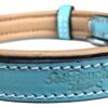 Soft Touch Collars - Small Leather Padded Dog Collar with Comfort Padding, Turquoise and Beige