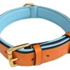 Soft Touch Collars - Padded Leather Dog Collar, Large Tan and Teal , Genuine Real Leather