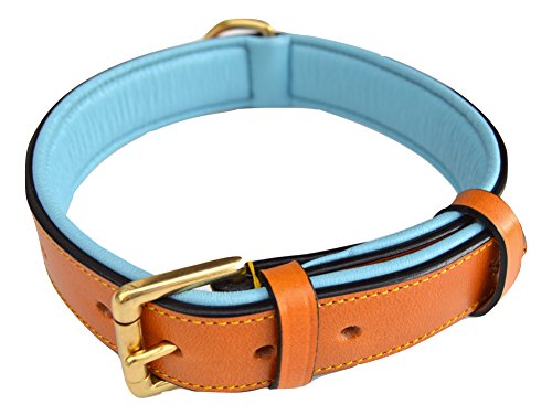 Extra-small pet collar in beige and ebony canvas