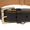 Soft Touch Collars - Leather Dog Collar , Black , Padded for Comfort , Great for Large Female or Male Dogs