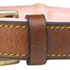 Soft Touch Collars - Padded Leather Dog Collar, Slimline Edition - Large, Brown and Pink
