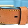 Soft Touch Collars - Leather Padded Dog Collar, Medium Tan and Teal , 20" Long x 1" Wide , Fits Neck Size 14.5" to 17.5" Inches
