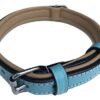 Soft Touch Collars - Small Leather Padded Dog Collar with Comfort Padding, Turquoise and Beige