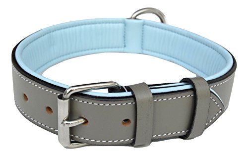 dog collars ottawa