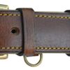 Soft Touch Collars - Padded Leather Dog Collar , Custom Handmade Hand Tooled with Genuine Real Leather , Large Brown