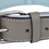 Soft Touch Collars - Padded Leather Dog Collar, Large Gray and Blue - Handmade With Genuine Real Leather