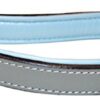 Soft Touch Collars - Leather Braided Dog Leash with Padded Handle , Gray and Light Blue - 6 foot x 3/4 Inch