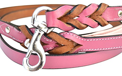  Nina Woof Rio Vegan Leather Dog Leash (4ft) Padded Luxury Dog  Lead - Dog Leash Large Dogs, Dog Leashes for Medium Dogs & Ideal Long Dog  Leash and Compatible with