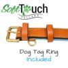 Soft Touch Collars - Leather Padded Dog Collar, Medium Tan and Teal , 20" Long x 1" Wide , Fits Neck Size 14.5" to 17.5" Inches