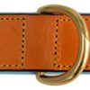 Soft Touch Collars - Padded Leather Dog Collar, Large Tan and Teal , Genuine Real Leather