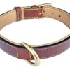 Soft Touch Collars - Padded Leather Dog Collar , Medium Brown , Genuine Real Leather, Great for Male or Female Dogs