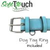 Soft Touch Collars , Leather Padded Dog Collar - Turquoise and Beige, Size Large with Comfort Padding,