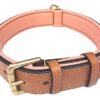 Soft Touch Collars - Leather Dog Collar with Comfort Padding , - Size Large, Tan and Coral , Genuine Real Leather