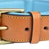 Soft Touch Collars - Padded Leather Dog Collar, Large Tan and Teal , Genuine Real Leather