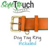 Soft Touch Collars Leather Padded Dog Collar , Extra Large Tan and Teal with XL Heavy Duty Brass Buckle, 28" Long x 1 3/4" Wide - Fits Neck Size 22" to 25" inches