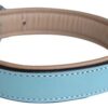 Soft Touch Collars - Leather Dog Collar - Turquoise and Beige, Size Medium with Comfort Padding, 20" x 1" Wide , Fits Neck Size 14.5" to 17.5"