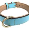 Soft Touch Collars - Leather Padded Dog Collar, Size Large, Turquoise and Beige