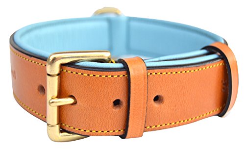 XLarge Dogs Genuine Leather Tri-Color Dog Collar Fits 20"-25" Neck 