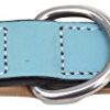 Soft Touch Collars - Leather Dog Collar - Turquoise and Beige, Size Medium with Comfort Padding, 20" x 1" Wide , Fits Neck Size 14.5" to 17.5"