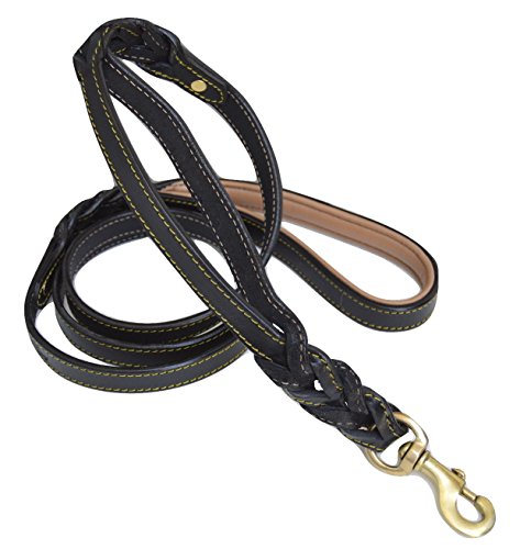 Mighty Paw Leather Dog Leash  6 Ft Leash. Super Soft Padded Handle Le –  PETOLY
