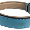 Soft Touch Collars , Leather Padded Dog Collar - Turquoise and Beige, Size Large with Comfort Padding,
