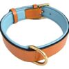Soft Touch Collars Leather Padded Dog Collar , Extra Large Tan and Teal with XL Heavy Duty Brass Buckle, 28" Long x 1 3/4" Wide - Fits Neck Size 22" to 25" inches