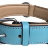 Soft Touch Collars , Leather Padded Dog Collar - Turquoise and Beige, Size Large with Comfort Padding,
