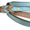Soft Touch Collars Heavy Duty Leather Braided Dog Leash, 6ft x 3/4 Inch , Turquoise with Beige Padded Handle