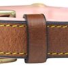 Soft Touch Collars - Padded Leather Dog Collar, Slimline Edition - Medium, Brown and Pink