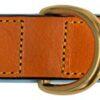Soft Touch Collars Leather Padded Dog Collar , Extra Large Tan and Teal with XL Heavy Duty Brass Buckle, 28" Long x 1 3/4" Wide - Fits Neck Size 22" to 25" inches