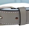 Soft Touch Collars - Medium Leather Dog Collar, Padded for Comfort , Gray and Blue - Genuine Real Leather , 20" Long by 1" Wide, Fits Neck Size 14.5" to 17.5 Inches